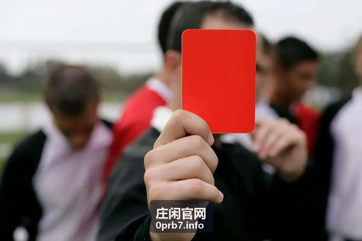 庄闲官网数据统计入门示意图
